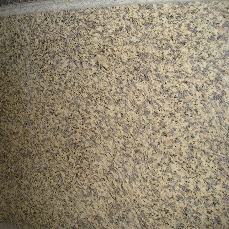 Tiger Yellow Granite Honed 02
