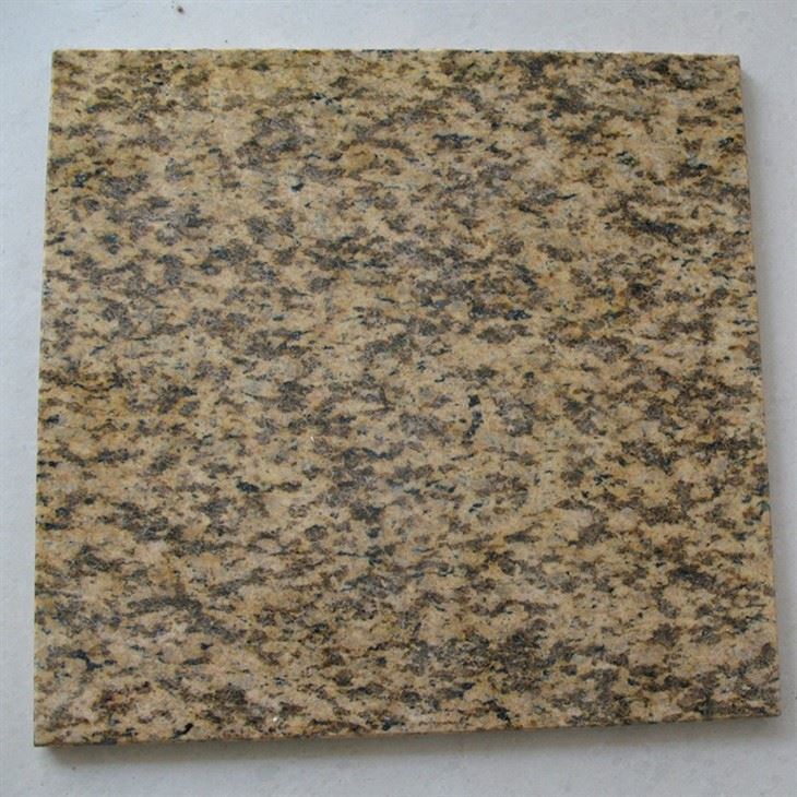 Tiger Yellow Granite Honed 01